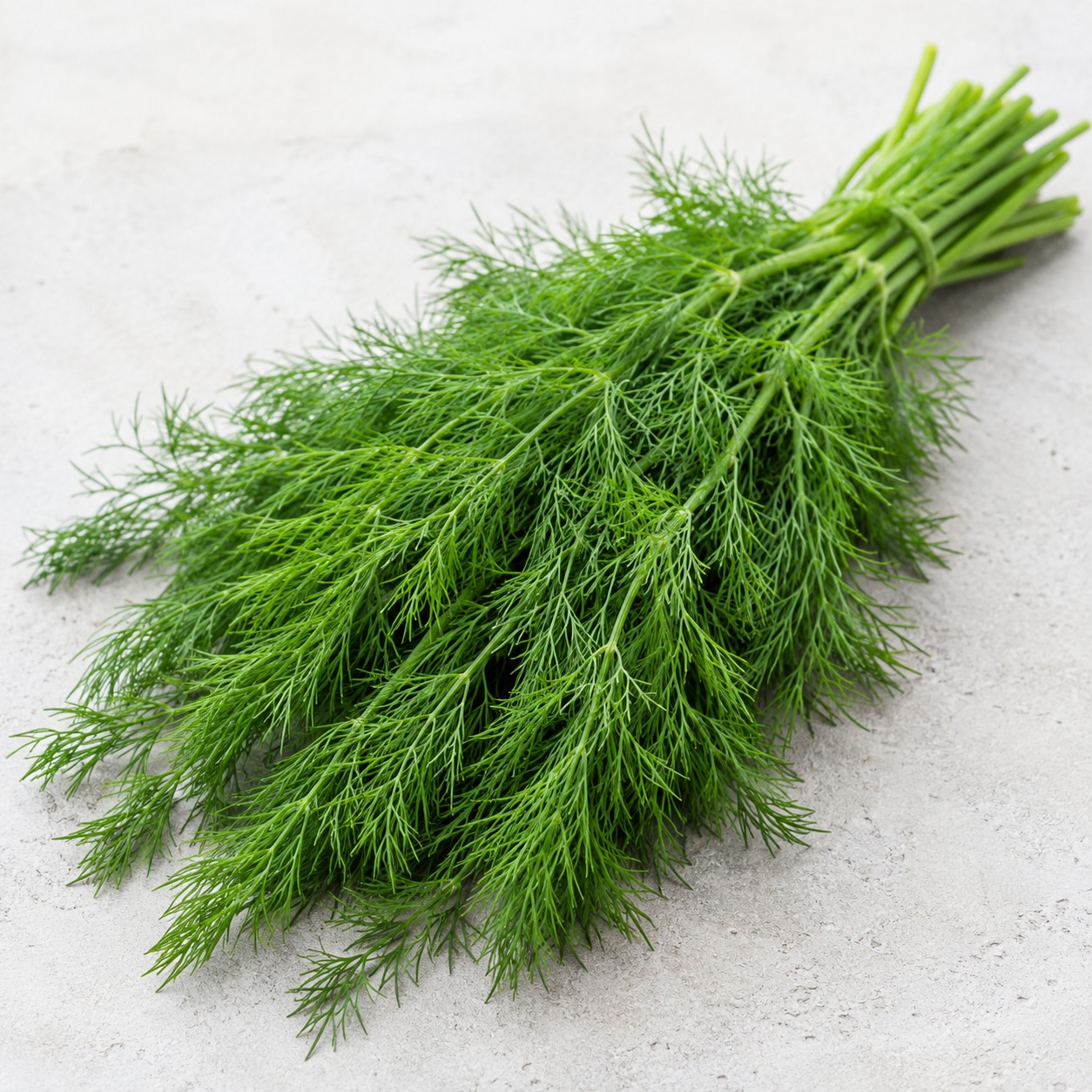 Dill Leaves