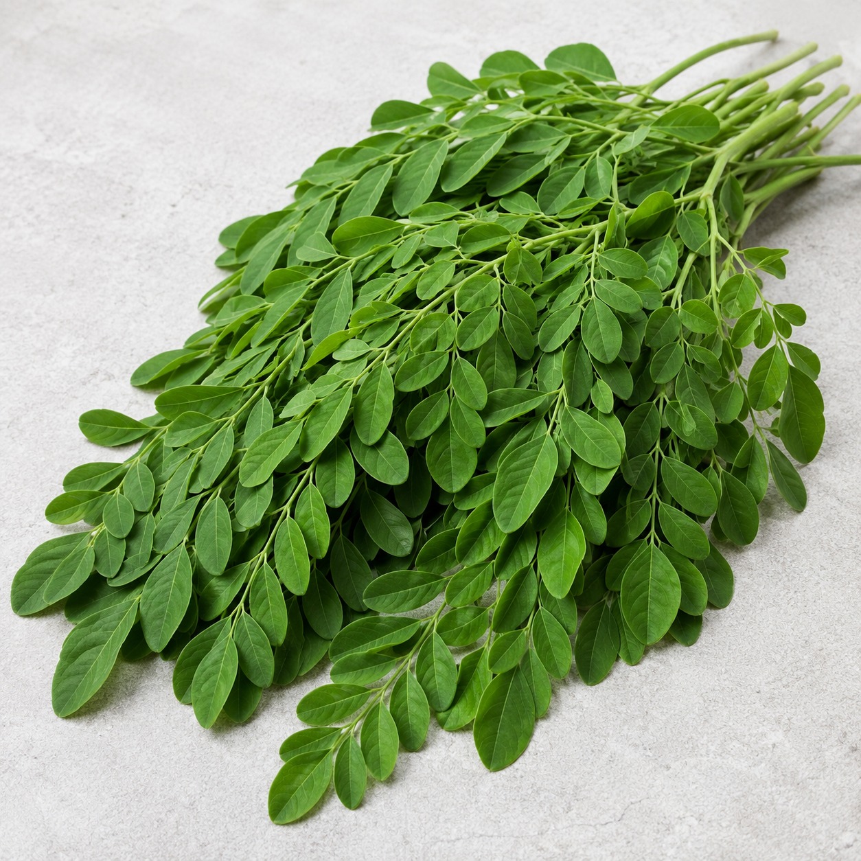 Moringa Leaves