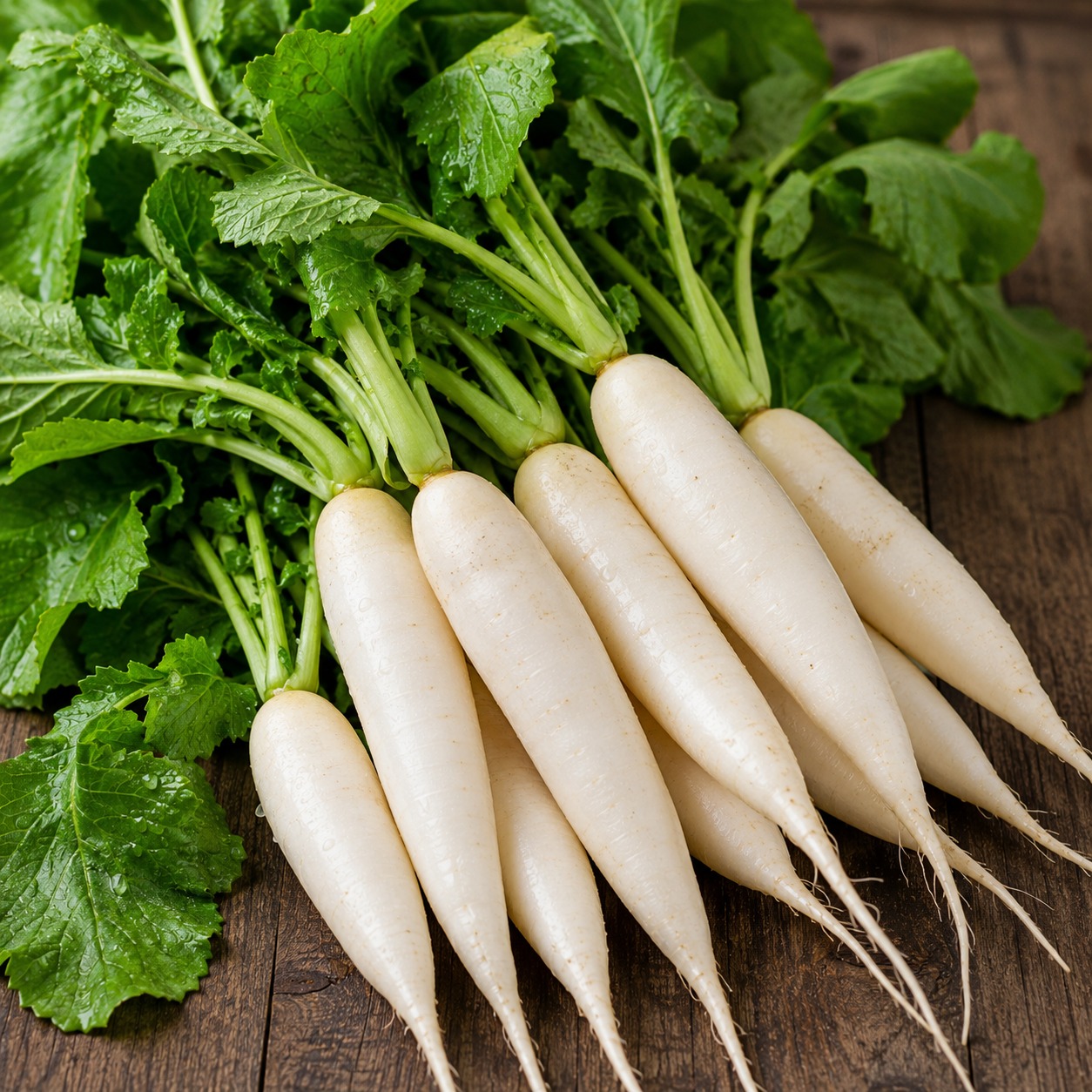 Radish